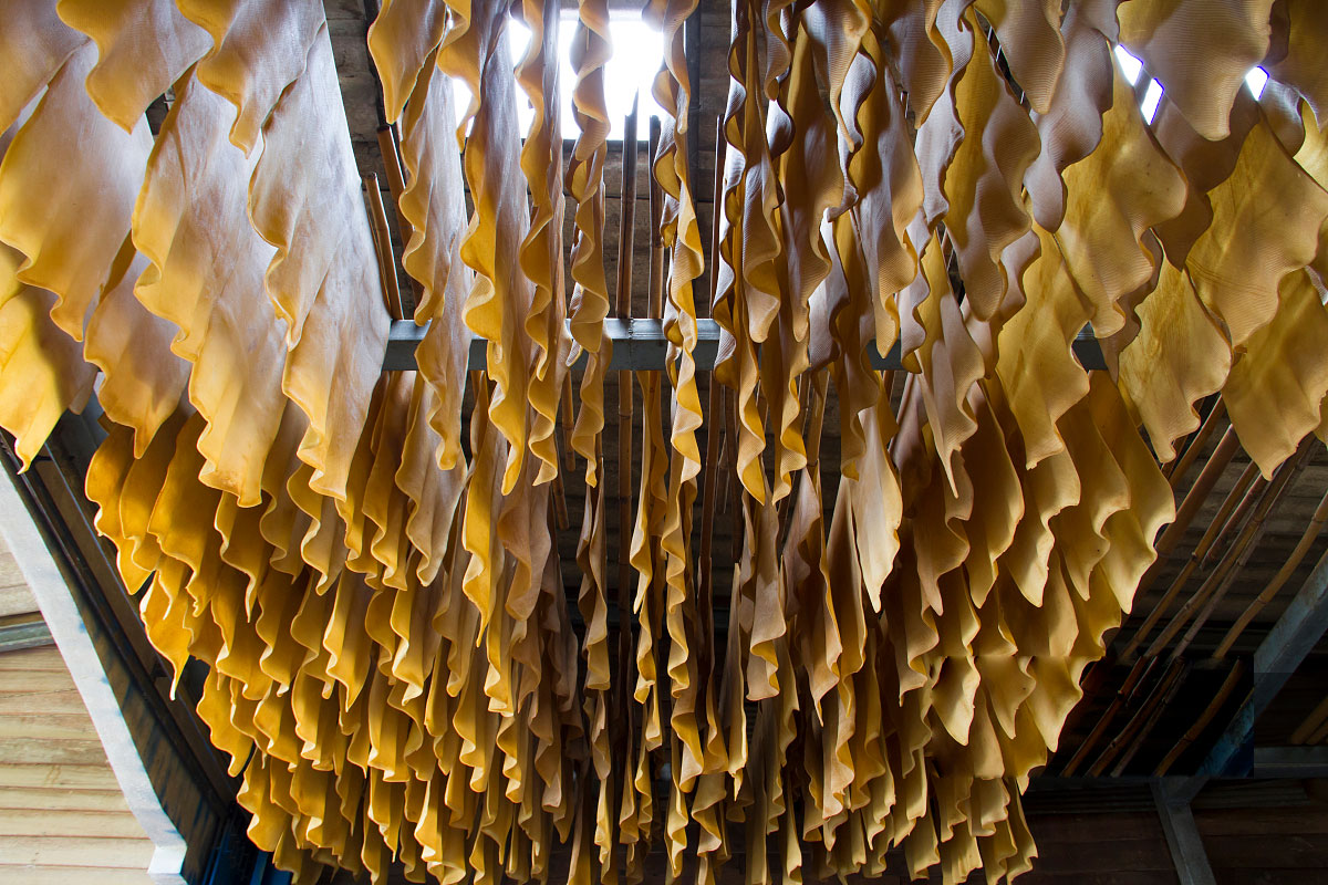 输送带贴胶配方 